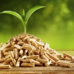 Green Briquettes for Fossil Fuel Displacement in South Africa