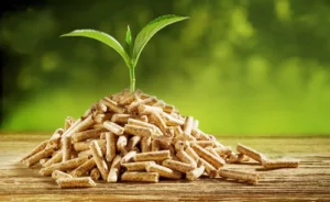 Read more about the article Green Briquettes for Fossil Fuel Displacement in South Africa